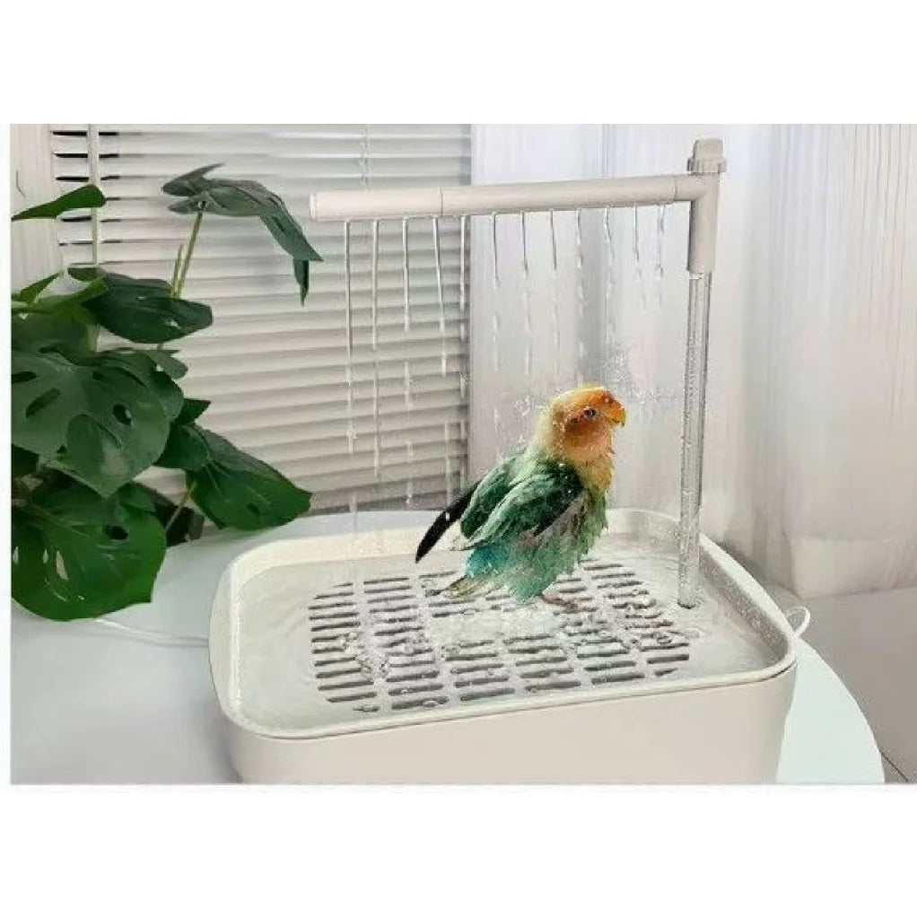 Automatic Parrot Bird Bath
