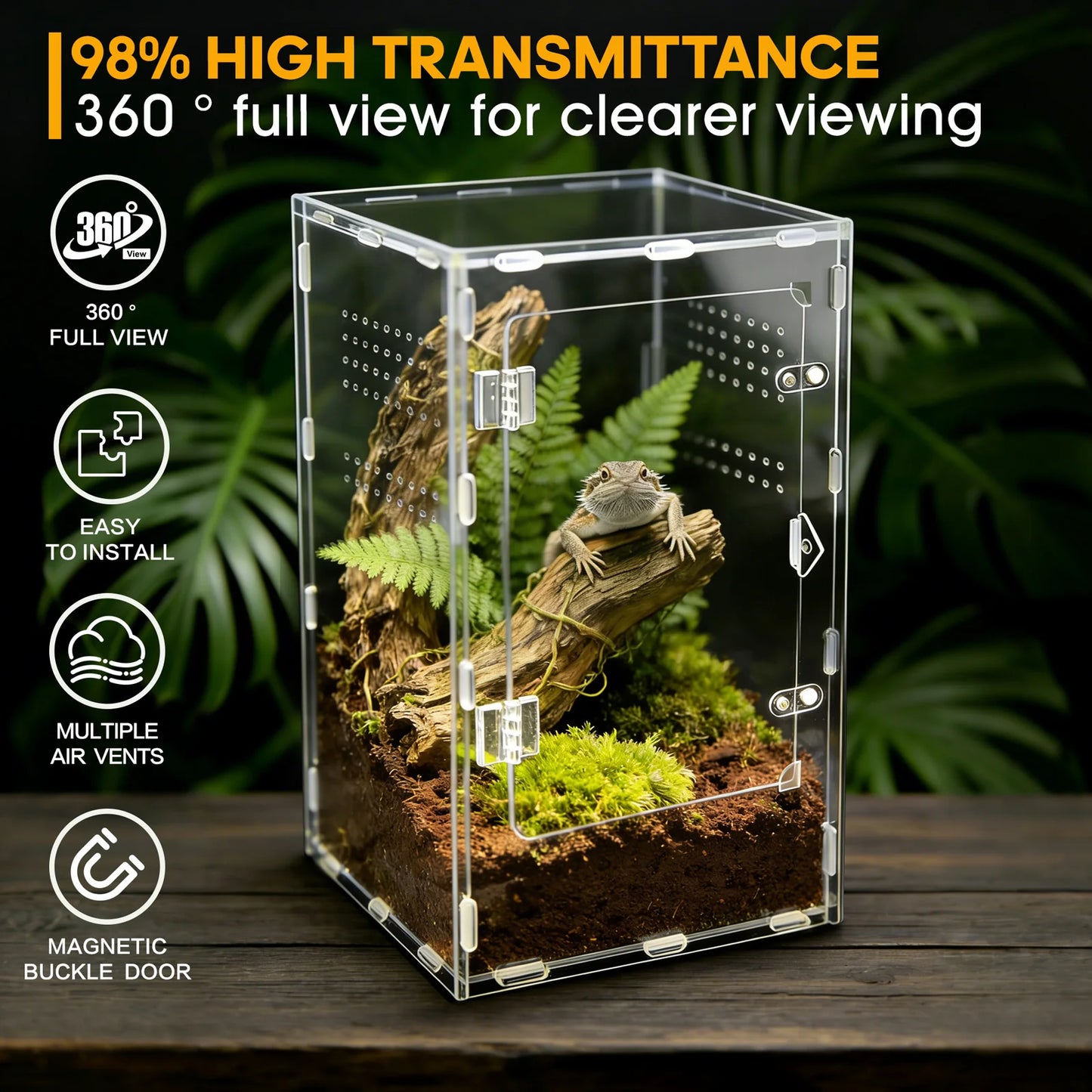Acrylic Spider & Reptile Enclosure