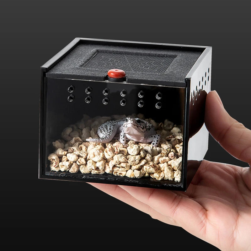 Acrylic Reptile Feeding Box