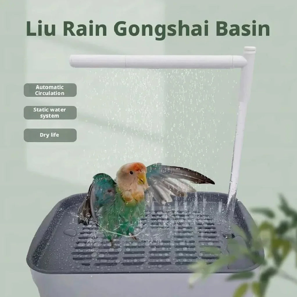 Automatic Parrot Bird Bath