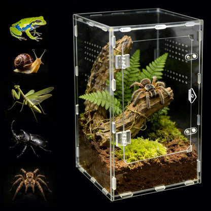 Acrylic Spider & Reptile Enclosure