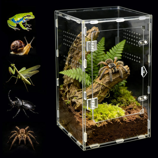 Acrylic Spider & Reptile Enclosure
