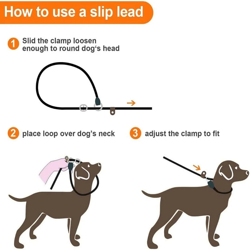 Heavy-Duty Braided Slip Lead – No-Pull Dog Training Leash