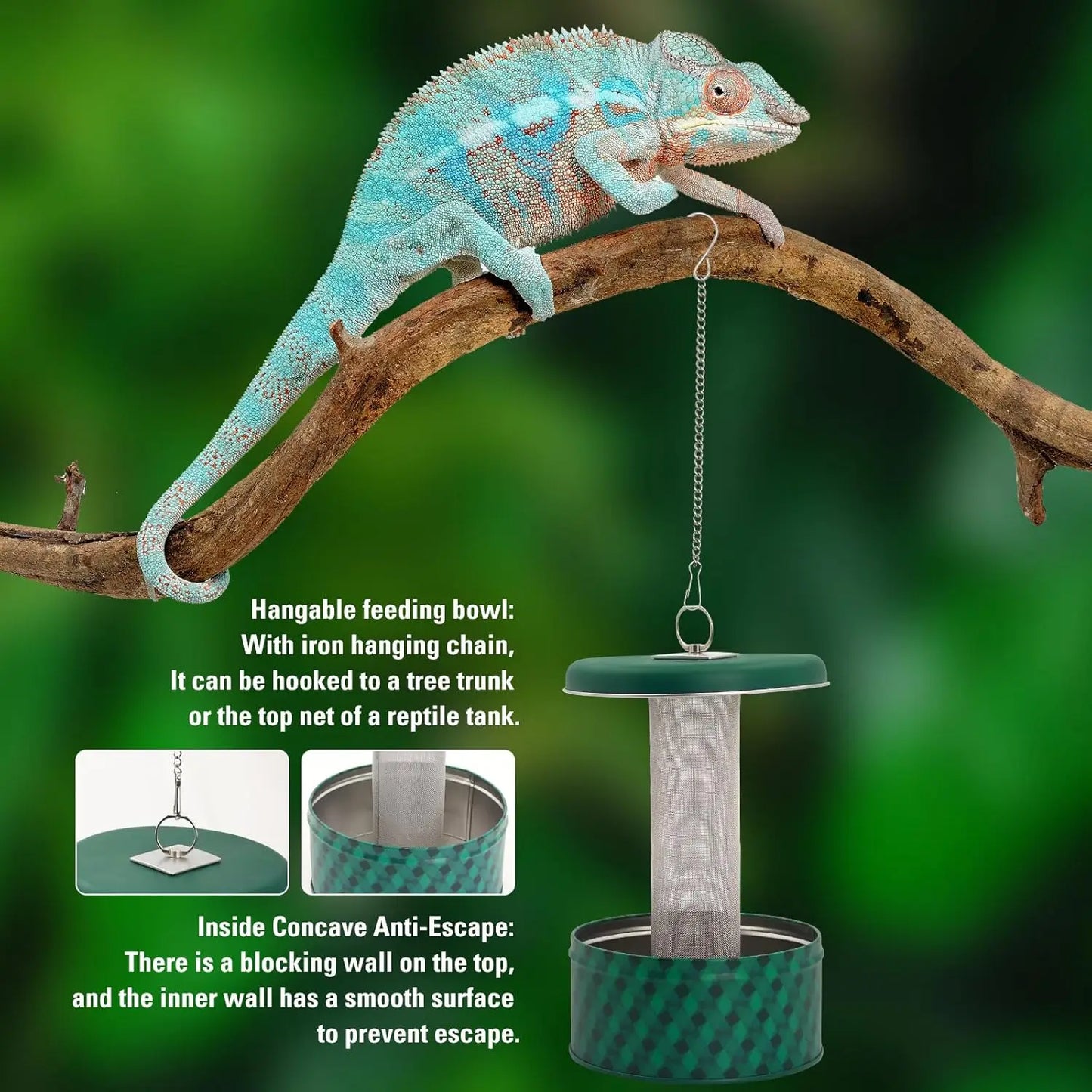 Reptile Insect Feeder Bowl