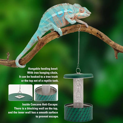 Reptile Insect Feeder Bowl