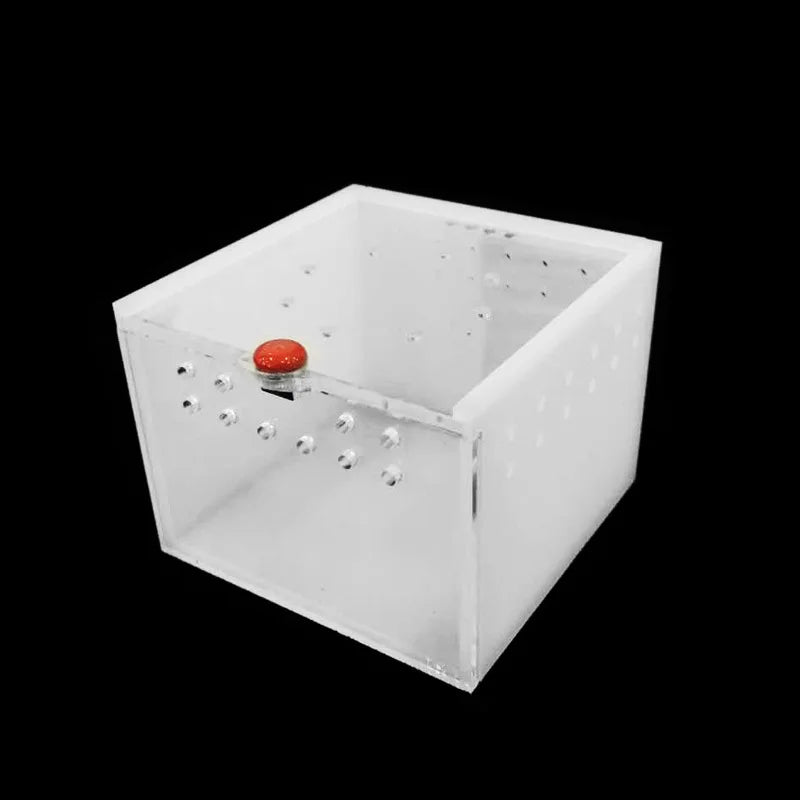 Acrylic Reptile Feeding Box