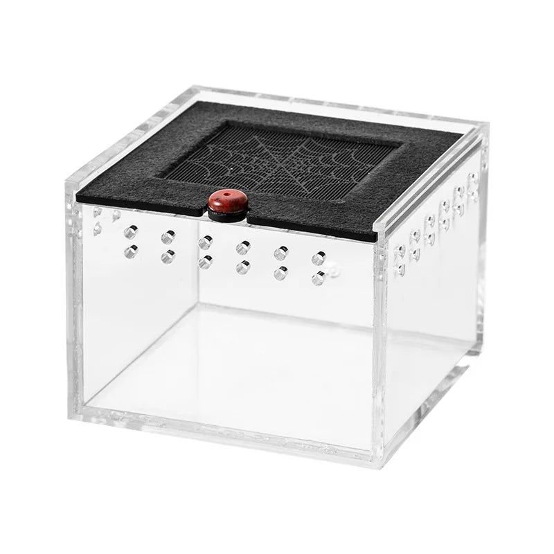 Acrylic Reptile Feeding Box