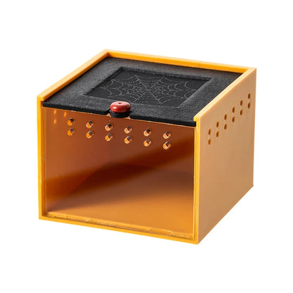Acrylic Reptile Feeding Box