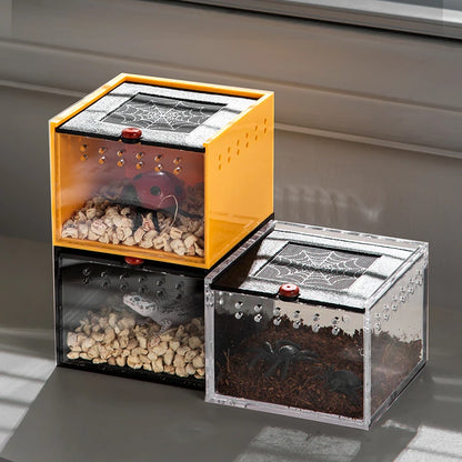 Acrylic Reptile Feeding Box