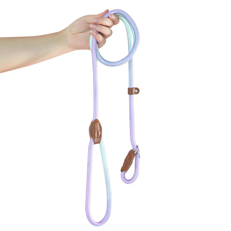 Heavy-Duty Braided Slip Lead – No-Pull Dog Training Leash