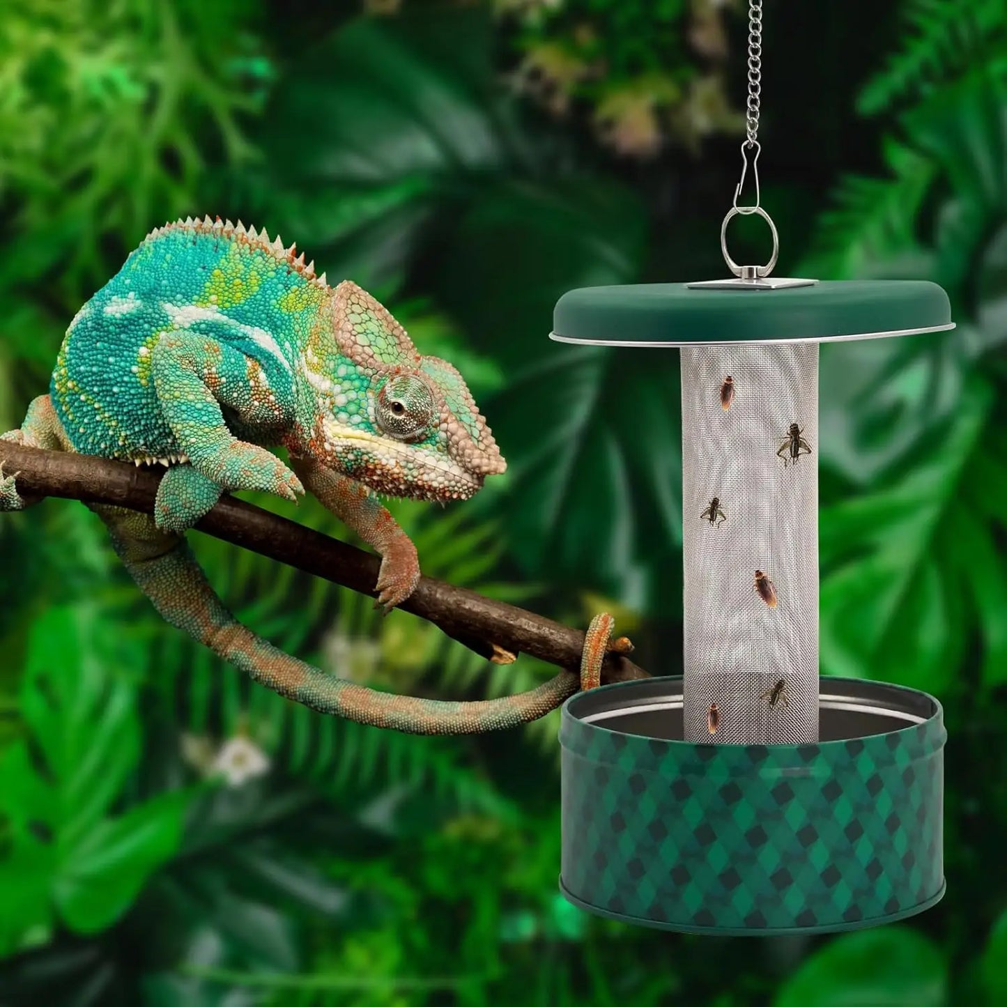 Reptile Insect Feeder Bowl
