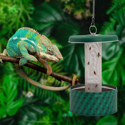 Reptile Insect Feeder Bowl