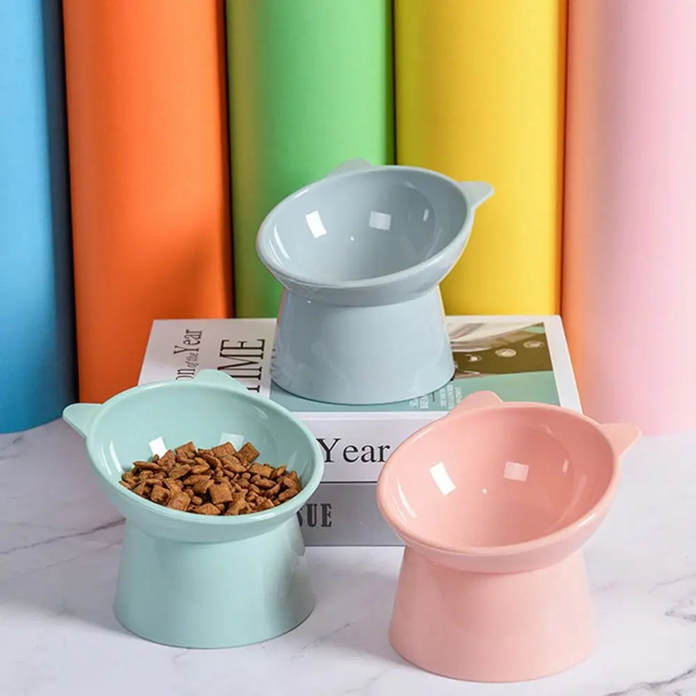 Elevated Pet Feeding Bowl – 45° Angled Food & Water Bowl for Dogs & Cats