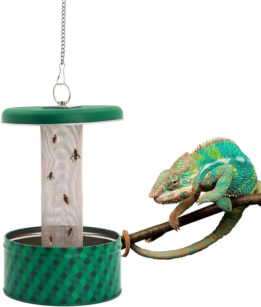 Reptile Insect Feeder Bowl