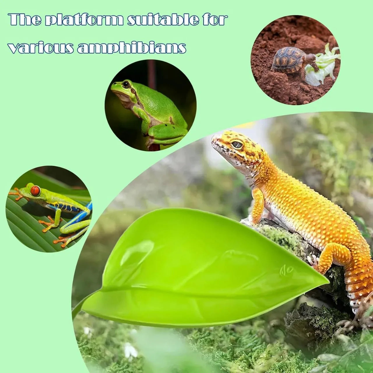 Reptile Basking Leaf Platform