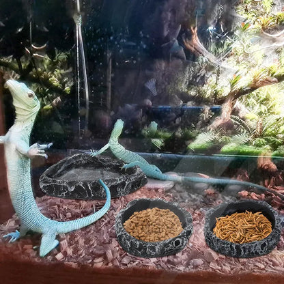 Corner Reptile Feeding Bowl – Food & Water Dish for Bearded Dragons, Geckos, Snakes & Other Reptiles