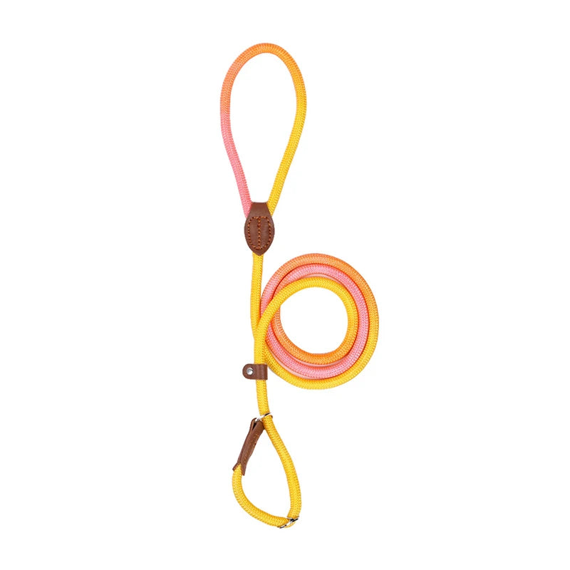 Heavy-Duty Braided Slip Lead – No-Pull Dog Training Leash