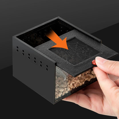 Acrylic Reptile Feeding Box