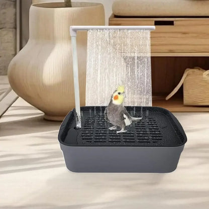 Automatic Parrot Bird Bath