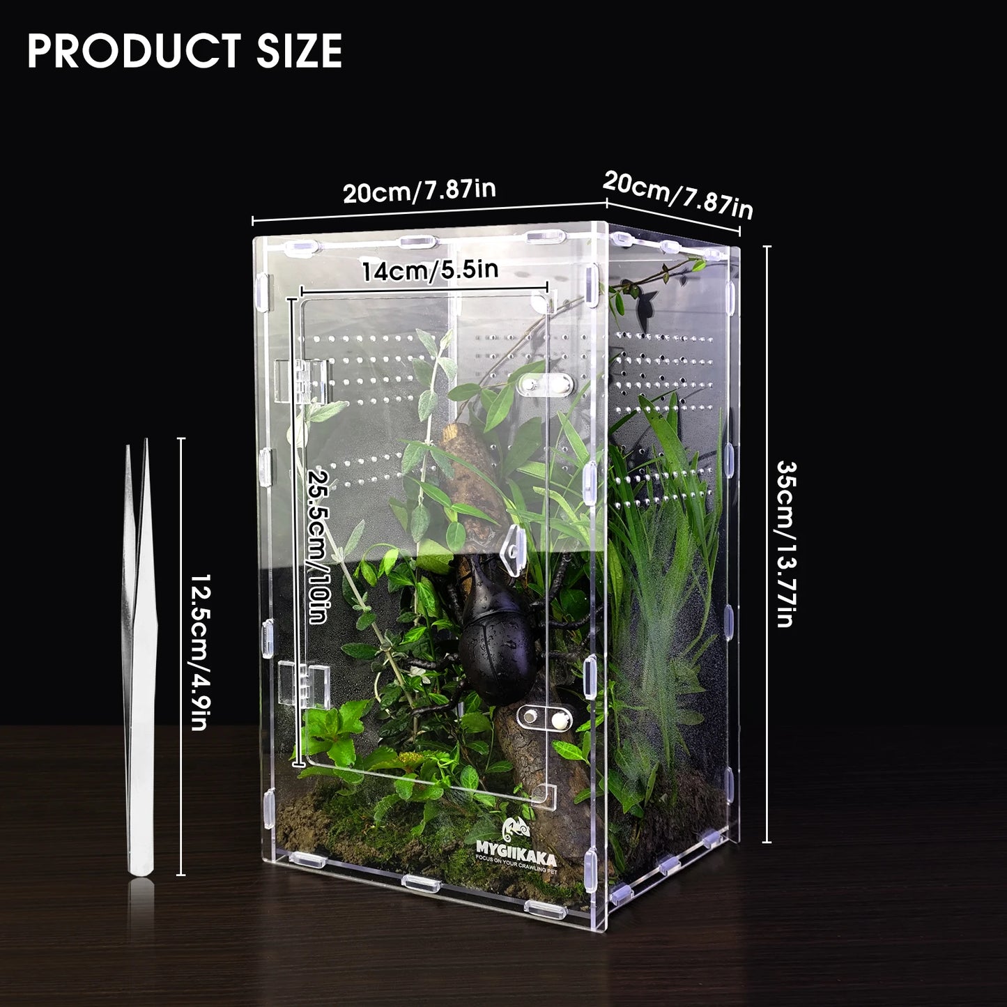 Acrylic Spider & Reptile Enclosure
