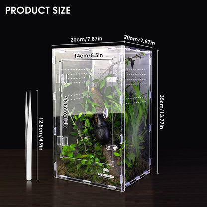 Acrylic Spider & Reptile Enclosure