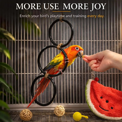 Snake Climbing Ring – Enrichment & Exercise Toy for Ball Pythons, Corn Snakes & Other Reptiles