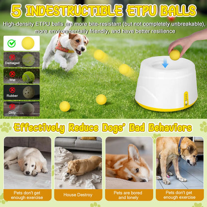 Automatic Dog Ball Launcher