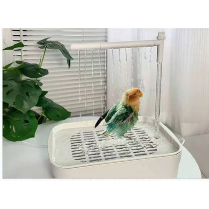 Automatic Parrot Bird Bath