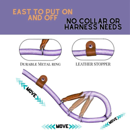 Heavy-Duty Braided Slip Lead – No-Pull Dog Training Leash
