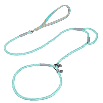 Heavy-Duty Dual Handle Dog Leash – No-Pull Training Lead for Medium & Large Dogs