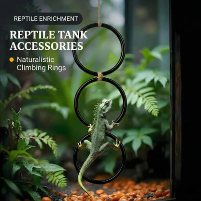 Snake Climbing Ring – Enrichment & Exercise Toy for Ball Pythons, Corn Snakes & Other Reptiles