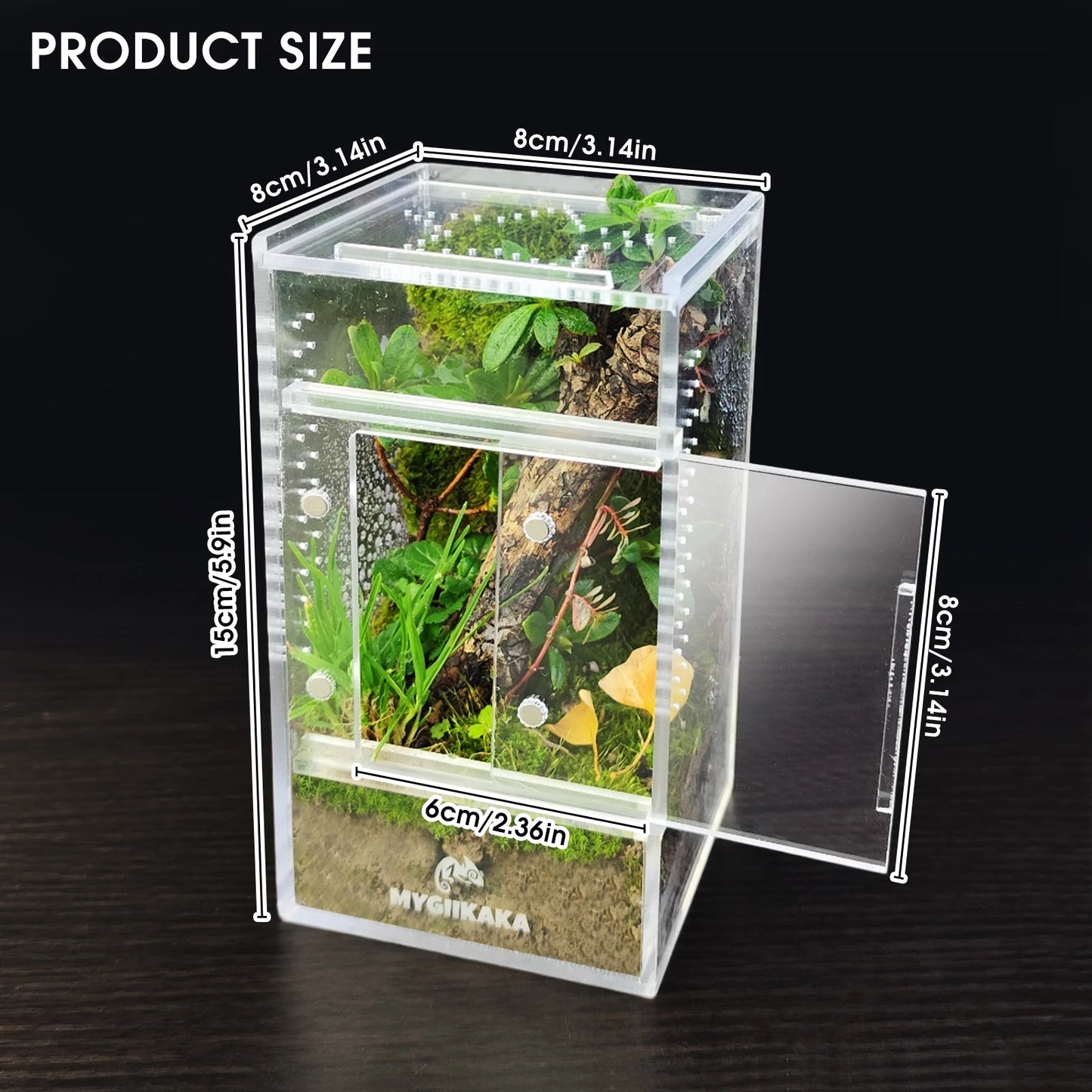 Acrylic Spider & Reptile Enclosure