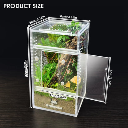Acrylic Spider & Reptile Enclosure
