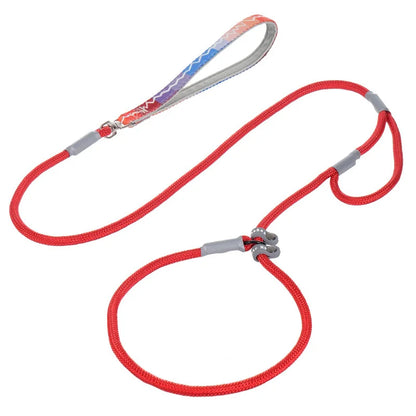 Heavy-Duty Dual Handle Dog Leash – No-Pull Training Lead for Medium & Large Dogs