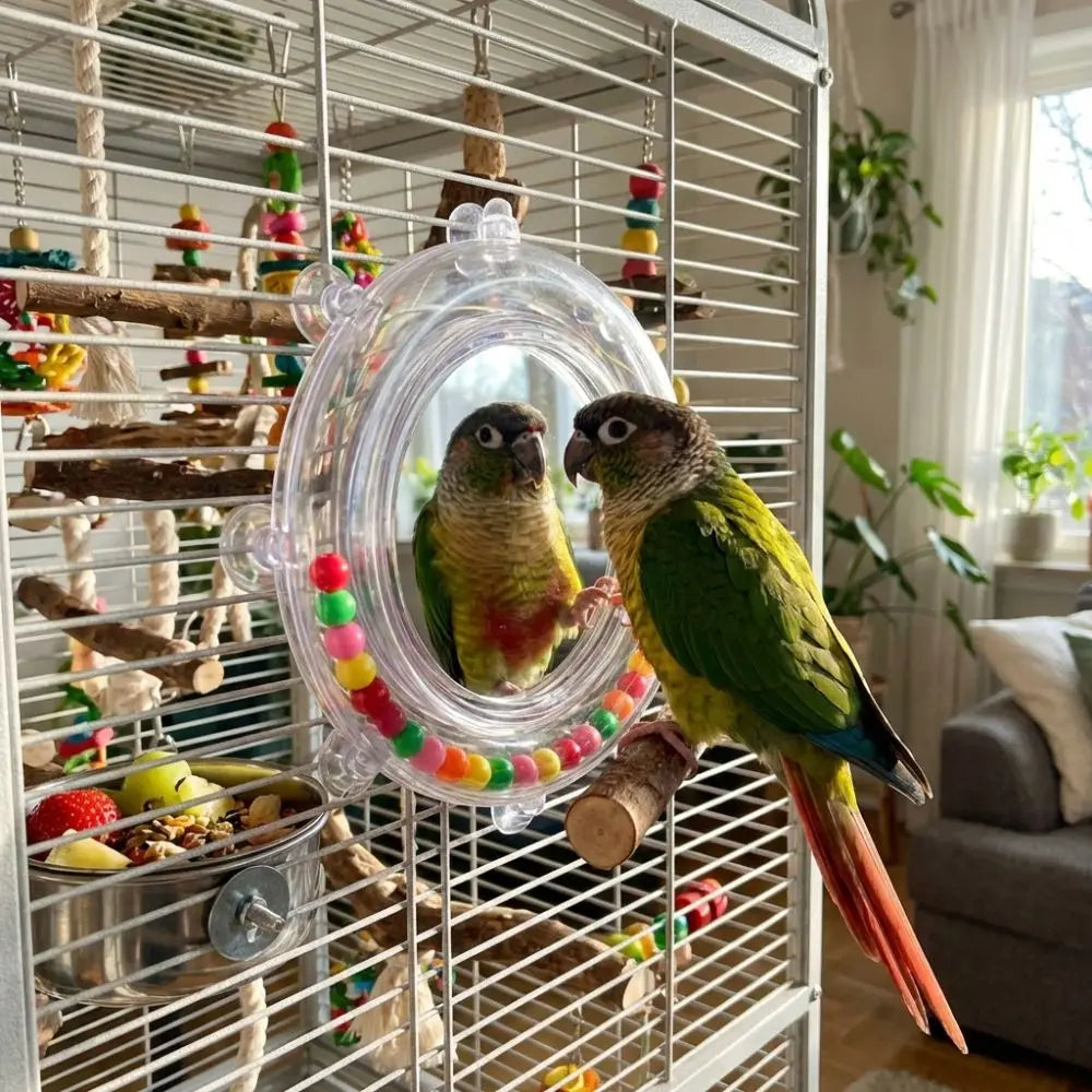 Parrot Mirror Toy – Interactive Bird Play & Stimulation Accessory