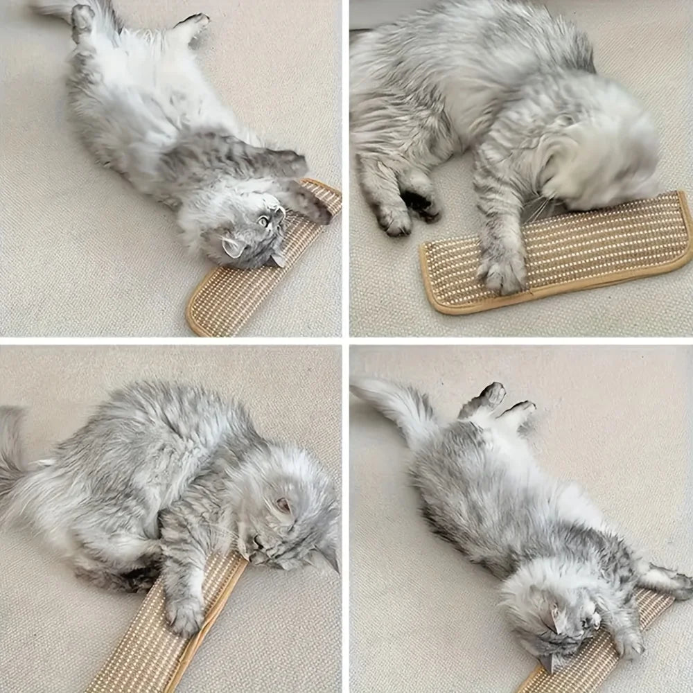 Cat Scratching Toy Pillow