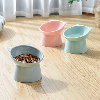 Elevated Pet Feeding Bowl – 45° Angled Food & Water Bowl for Dogs & Cats