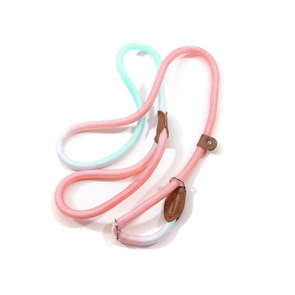 Heavy-Duty Braided Slip Lead – No-Pull Dog Training Leash