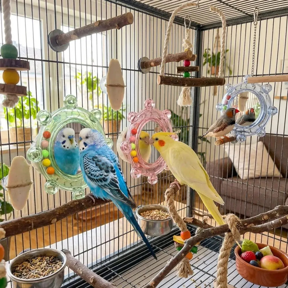 Parrot Mirror Toy – Interactive Bird Play & Stimulation Accessory