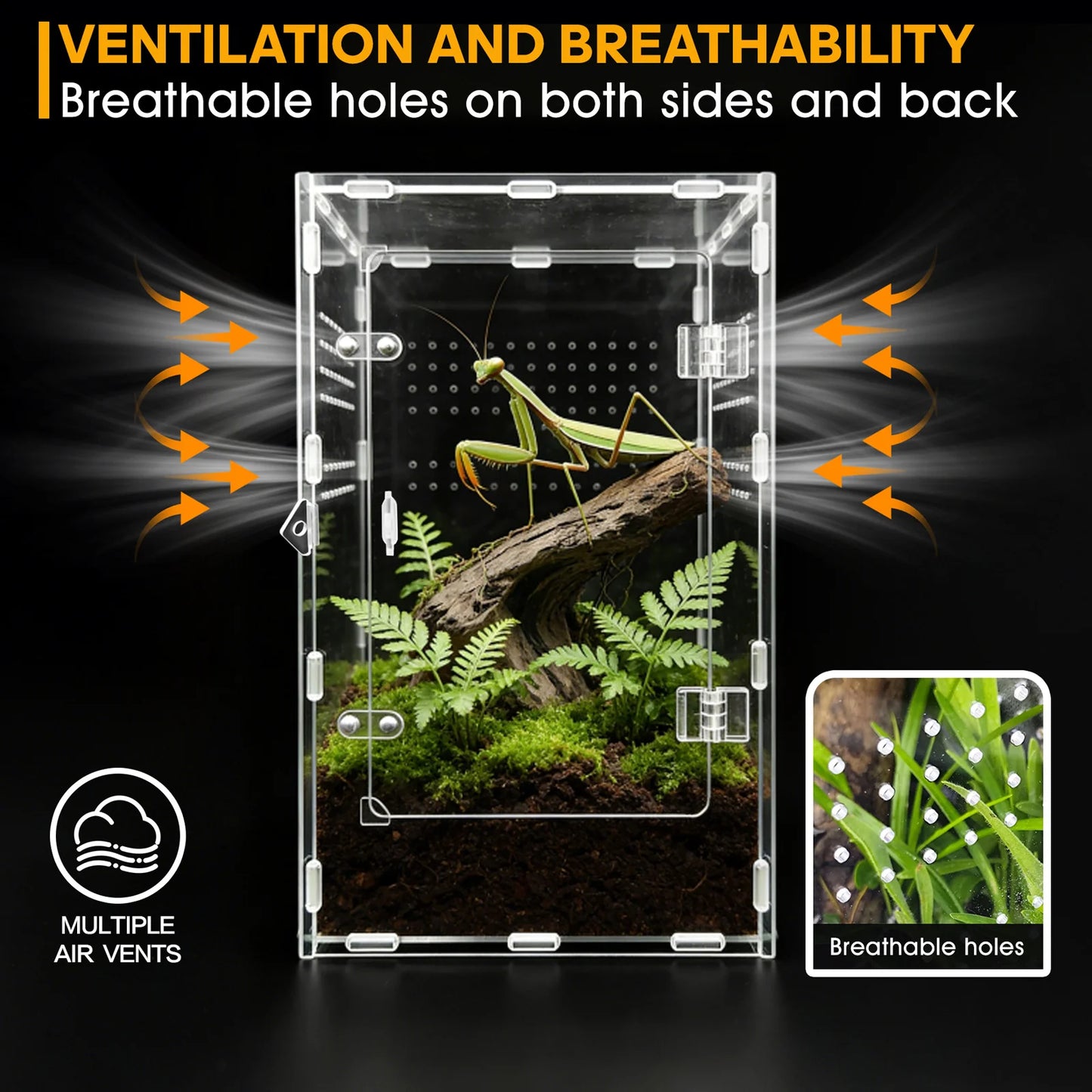 Acrylic Spider & Reptile Enclosure