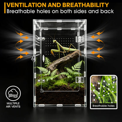 Acrylic Spider & Reptile Enclosure