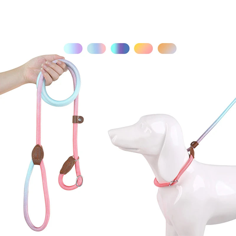 Heavy-Duty Braided Slip Lead – No-Pull Dog Training Leash