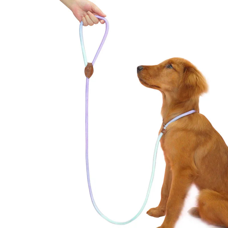 Heavy-Duty Braided Slip Lead – No-Pull Dog Training Leash