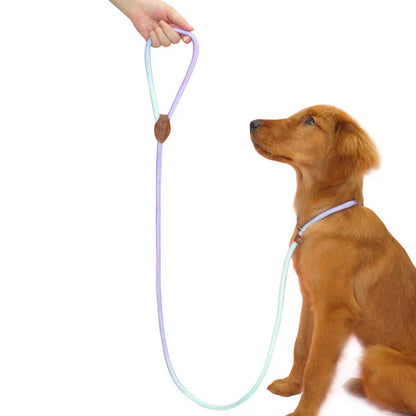 Heavy-Duty Braided Slip Lead – No-Pull Dog Training Leash