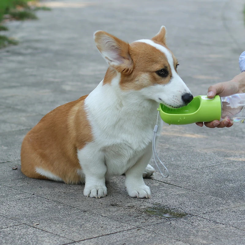 Portable Pet Water Bottle