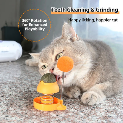 Catnip Spinning Ball Toy
