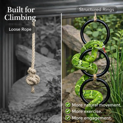 Snake Climbing Ring – Enrichment & Exercise Toy for Ball Pythons, Corn Snakes & Other Reptiles