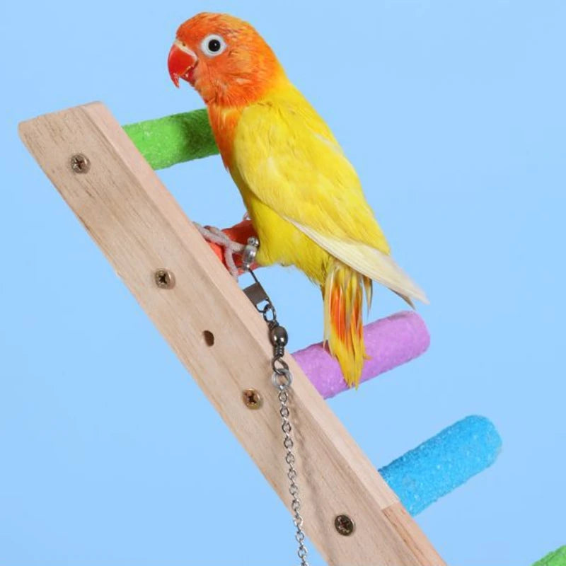 Natural Wooden Bird Climbing Ladder – 4 or 6 Step Exercise & Perch Toy
