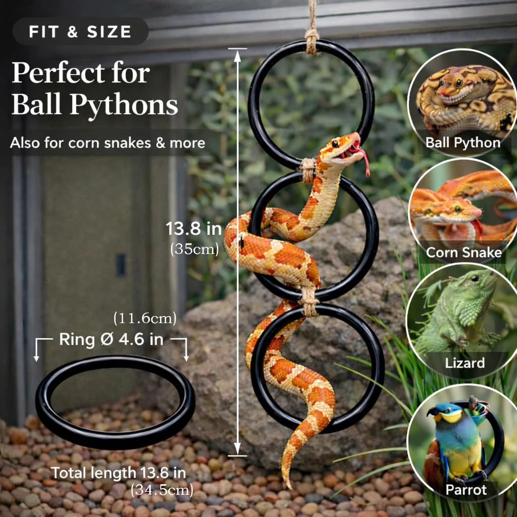 Snake Climbing Ring – Enrichment & Exercise Toy for Ball Pythons, Corn Snakes & Other Reptiles