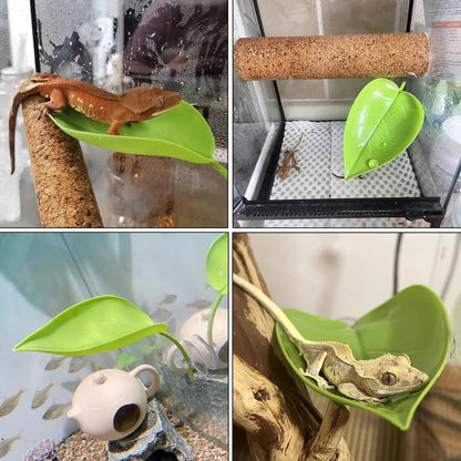 Reptile Basking Leaf Platform